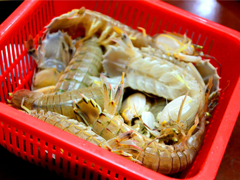ݳڻõƽۺ